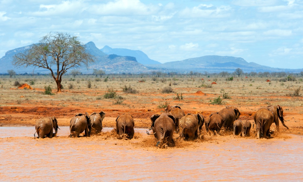 Kenias-schonste-Naturgebilde-(1).jpg