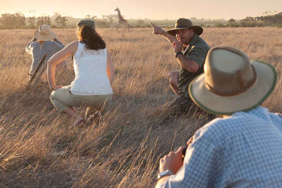 „Abenteuer in der Matrouh-Wüste: Die besten Safari-Erlebnisse“ - Erinnerungen festhalten