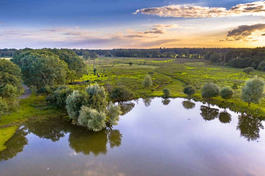 Die-schonsten-Naturgebilde-der-Niederlande.jpg